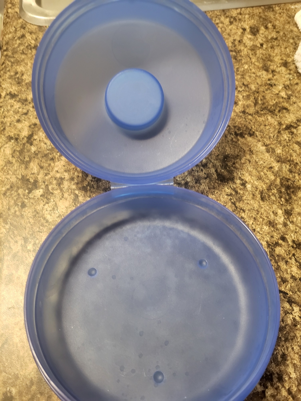Tupperware Bagel Container - Picture 4 of 4
